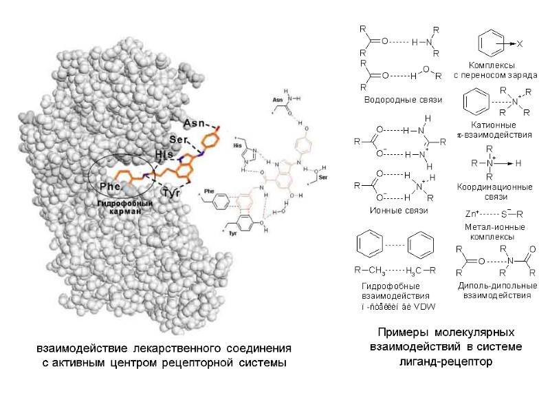 Примеры молекулярных взаимодействий в системе лиганд-рецептор  взаимодействие лекарственного соединения с активным центром рецепторной